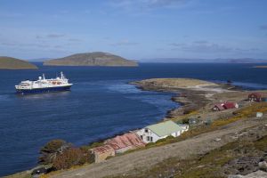 New Island, West Falklands 1257.jpg